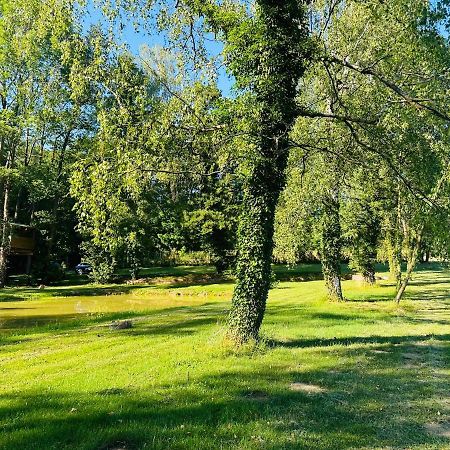 La Forge Hotel Ringendorf Екстериор снимка
